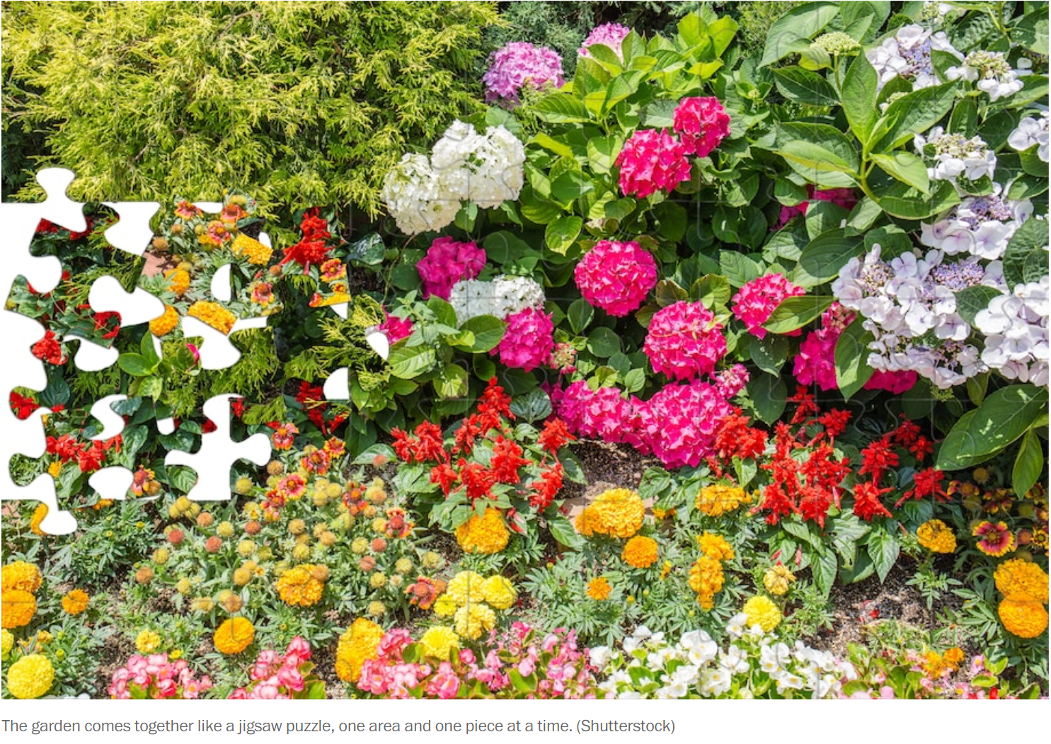 Jigsaw Puzzles and Gardens: The Common Pieces