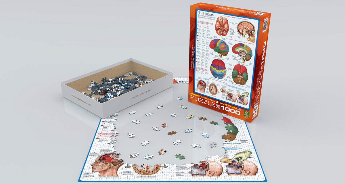 The Brain 1000 Piece Puzzle - Quick Ship - Puzzlicious.com