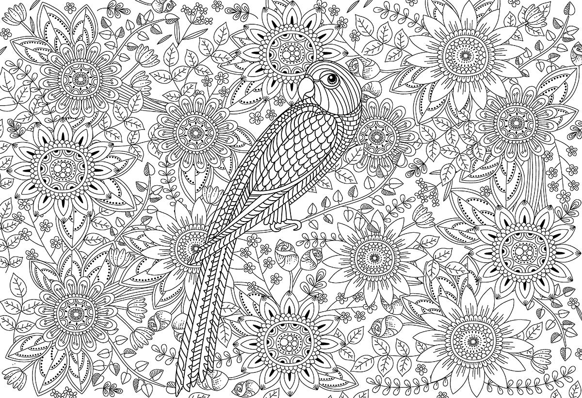 Beautiful Garden Color-Me 300 Piece Puzzle - Quick Ship - Puzzlicious.com