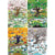 Blachon's 4 Seasons 2000 Piece Puzzle - Quick Ship - Puzzlicious.com