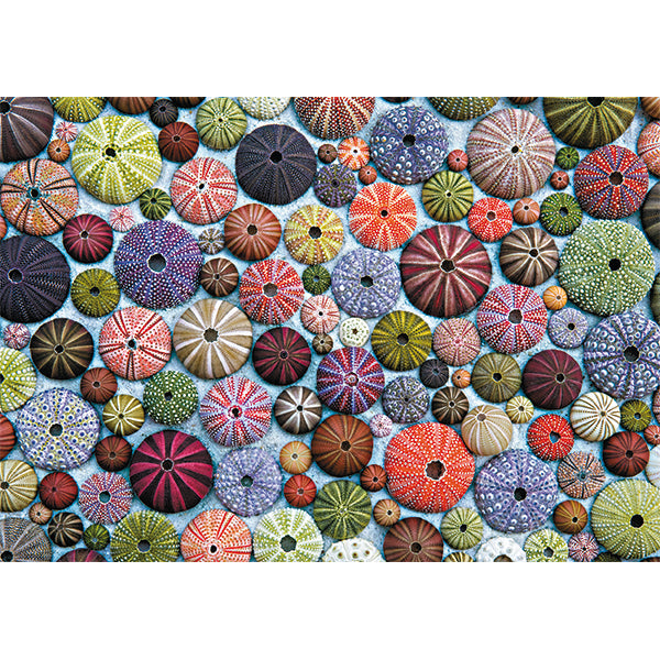 Sea Urchins 1000 Piece Puzzle - Puzzlicious.com