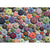 Sea Urchins 1000 Piece Puzzle - Puzzlicious.com