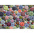 Sea Urchins 1000 Piece Puzzle - Puzzlicious.com