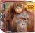 Orangutan & Baby 100 Piece Mini Puzzle - Quick Ship - Puzzlicious.com