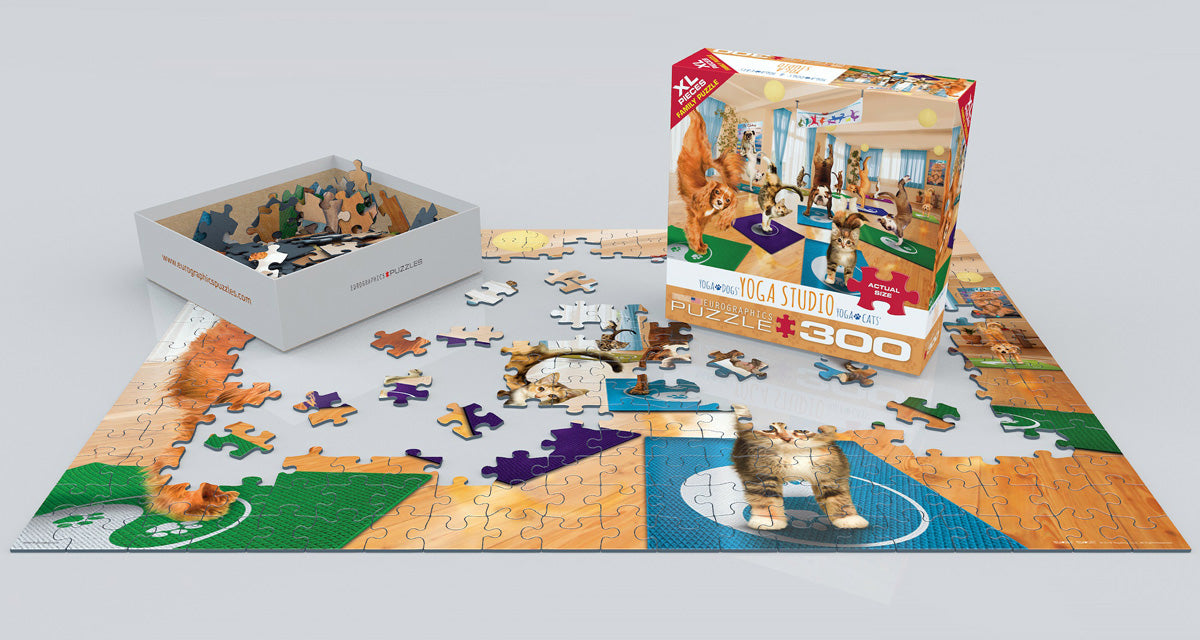 Yoga Studio 300 Piece Puzzle - Quick Ship - Puzzlicious.com