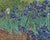Pomegranate's Van Gogh: Irises 1000 Piece Jigsaw Puzzle