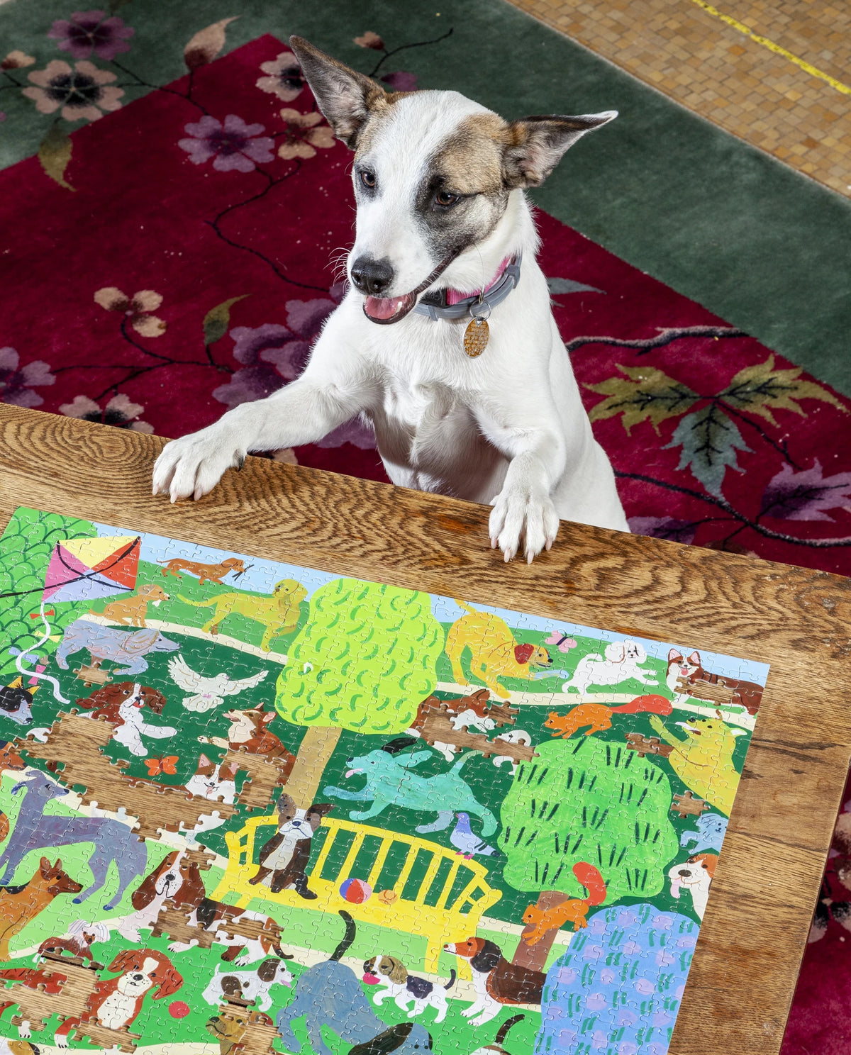 Dogs in the Park 1000 Piece Puzzle - Quick Ship - Puzzlicious.com