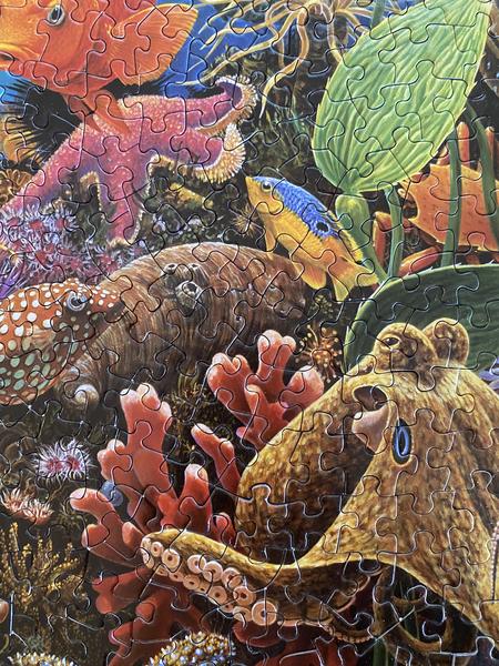 California Roll 1000 Piece Puzzle - Quick Ship - Puzzlicious.com