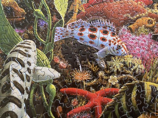 California Roll 1000 Piece Puzzle - Quick Ship - Puzzlicious.com