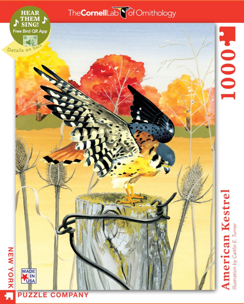 American Kestrel 1000 Piece Puzzle - Quick Ship - Puzzlicious.com