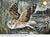 Angela Harding: Marsh Owl 1000 Piece Jigsaw Puzzle - Quick Ship - Puzzlicious.com