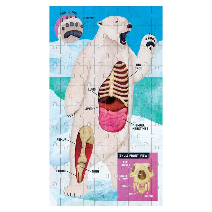 Animal Anatomy Science Puzzle Set - Quick Ship