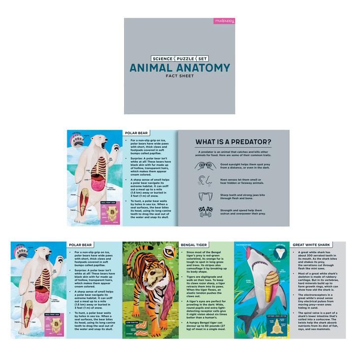 Animal Anatomy Science Puzzle Set - Quick Ship