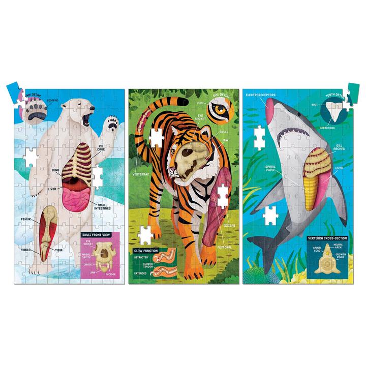 Animal Anatomy Science Puzzle Set - Quick Ship