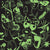 Glow in the Dark: Butterflies Illuminated 500 Piece Puzzle - Quick Ship - Puzzlicious.com