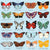 Butterflies of North America 500 Piece Family Puzzle - Quick Ship - Puzzlicious.com