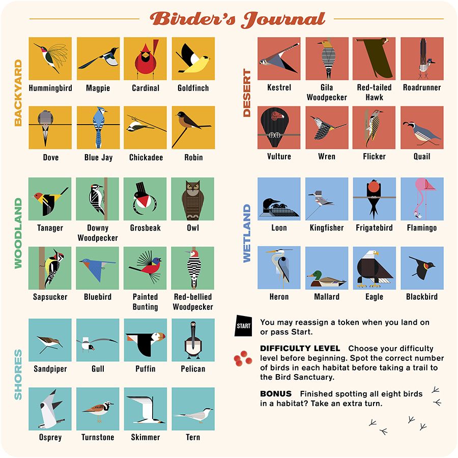 Charley Harper's Spot the Birds Board Game - Puzzlicious.com