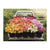 Floret Farm's Cut Flower Garden 500 Piece Double-Sided Puzzle - Quick Ship - Puzzlicious.com