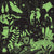 Glow in the Dark: Jungle Illuminated 500 Piece Puzzle - Quick Ship - Puzzlicious.com