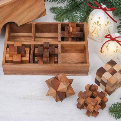 Handcrafted Set of Six Wooden Puzzles - Quick Ship - Puzzlicious.com