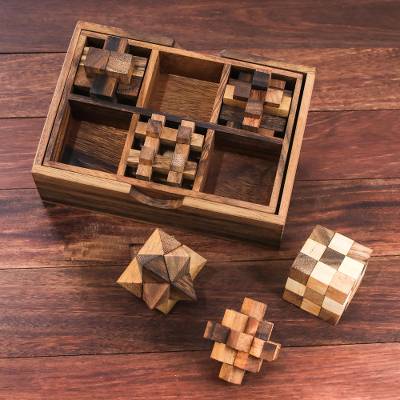 Handcrafted Set of Six Wooden Puzzles - Quick Ship - Puzzlicious.com