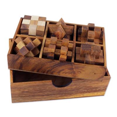 Handcrafted Set of Six Wooden Puzzles - Quick Ship - Puzzlicious.com