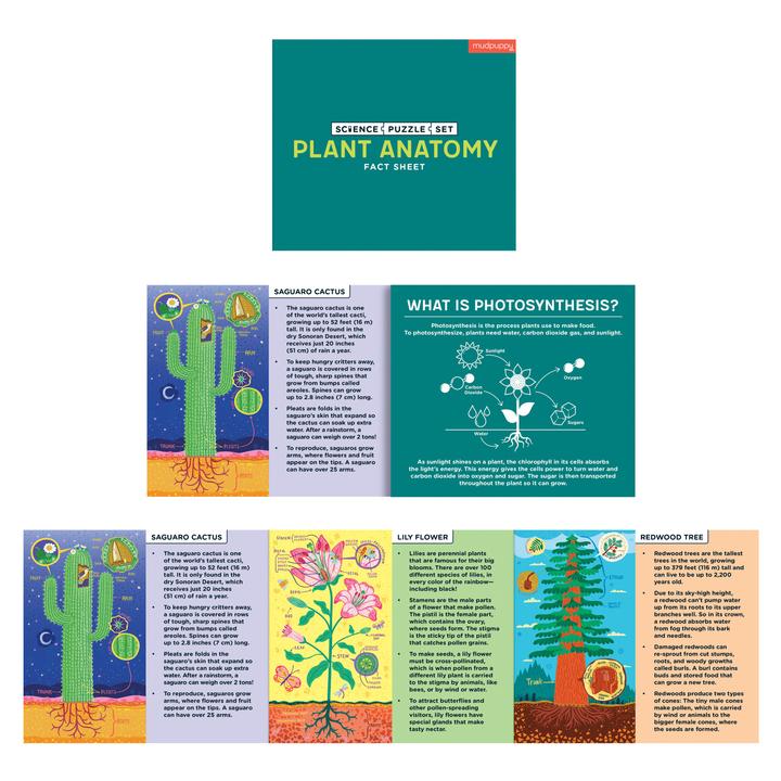 Plant Anatomy Science Puzzle Set - Quick Ship