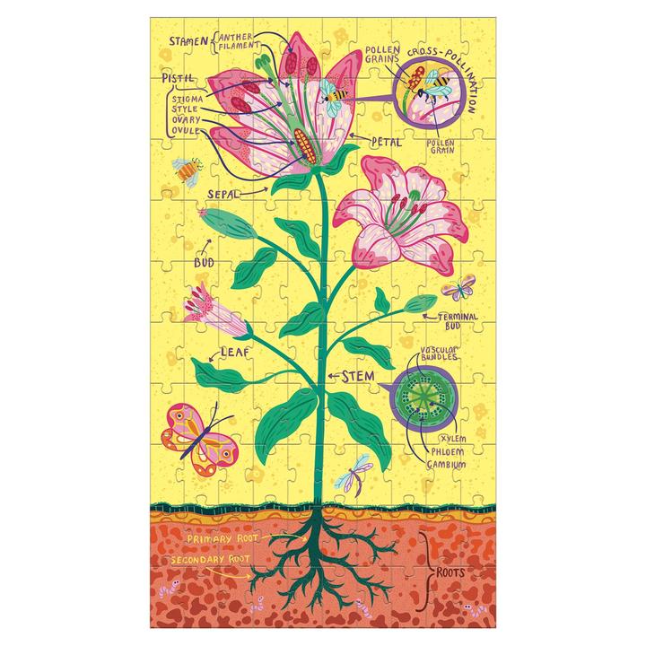 Plant Anatomy Science Puzzle Set - Quick Ship