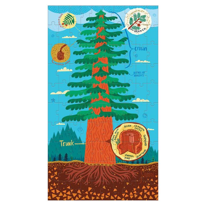 Plant Anatomy Science Puzzle Set - Quick Ship