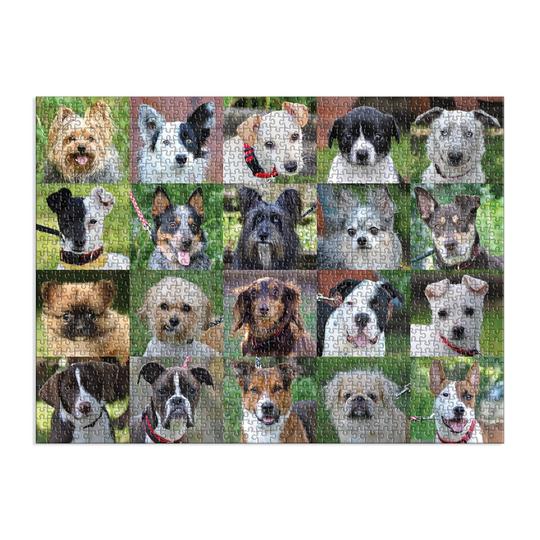 Rescue Dogs 1000 Piece Puzzle - Quick Ship