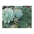 Succulent Garden 500 Piece Double-Sided Puzzle - Quick Ship - Puzzlicious.com