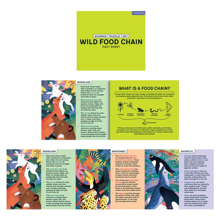 Wild Food Chain Science Puzzle Set - Quick Ship